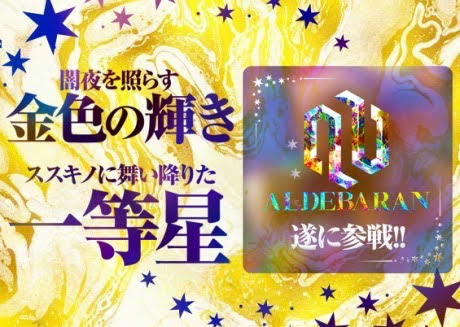 すすきのホストクラブALDEBARANアルデバラン店舗画像3